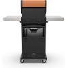 imagePermasteel 2Burner Propane Gas Grill BBQ Grill with Foldable Side Tables ampamp Tool Hooks Perfect for Outdoor Cooking Patio ampamp Garden CopperCopper