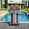 imagePermasteel 3Burner Propane Gas Grill 30000 BTUs BBQ Grill with Cast Iron Grates Foldable Side Tables ampamp Tool Hooks Outdoor Grill AzureMocha